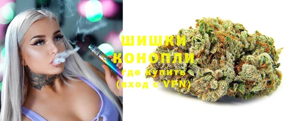 ПСИЛОЦИБИНОВЫЕ ГРИБЫ Аркадак