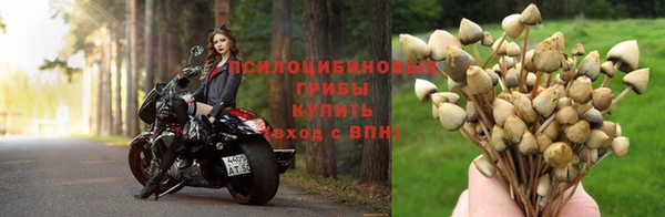 ешки Арсеньев