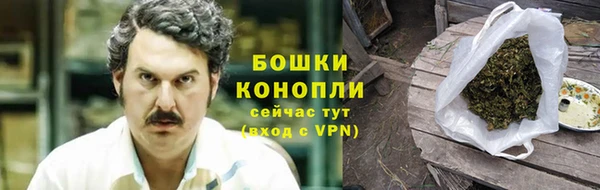 ПСИЛОЦИБИНОВЫЕ ГРИБЫ Аркадак