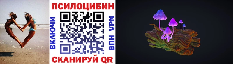 Галлюциногенные грибы Psilocybine cubensis  Купить закладки  Терек 