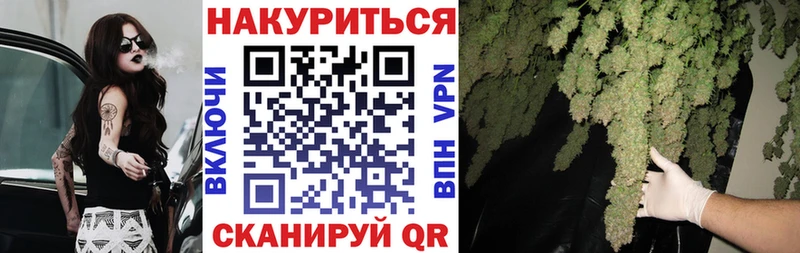 Канабис MAZAR  Купить где  Терек 